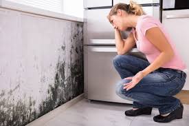 Mold Remediation for Rental Properties